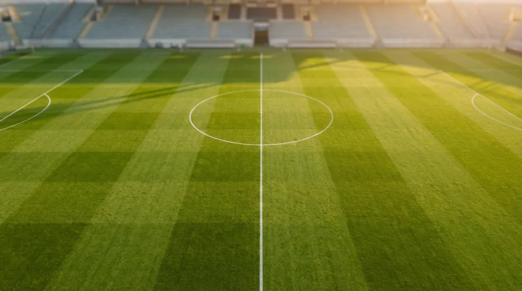 Campo da calcio visto dall